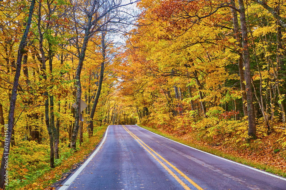 Scenic Autumn Road Through Vibrant Keweenaw Forest