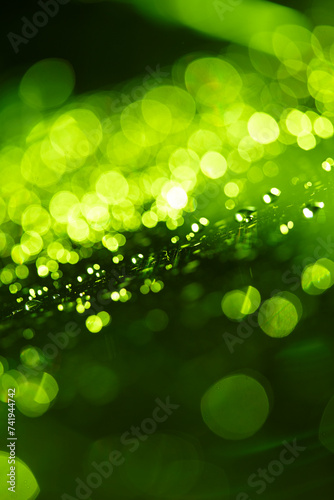 green blur background