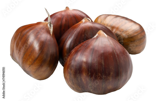 Obraz na plátne Edible Sweet Chestnuts, Healthy Autumn and Christmas Food