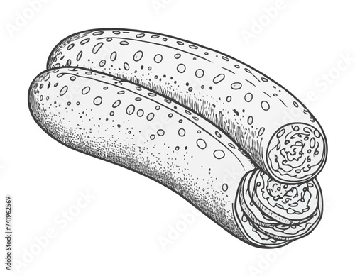 Salami sausage sketch hand drawn vector