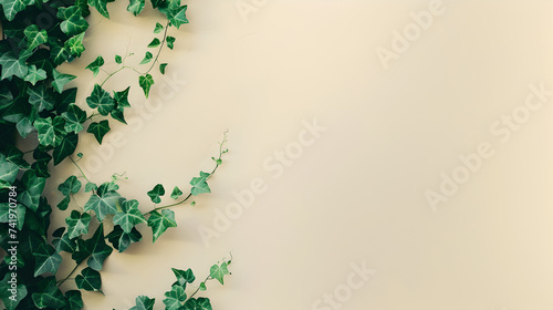 ivy climbing plant on decent cream green background - the background offers lots of space for text photo