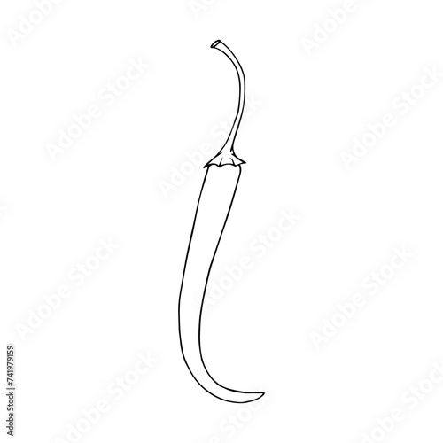 Linear sketch, outline, coloring of a hot chili pepper. Vector graphics.