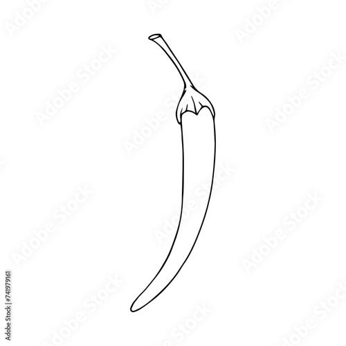 Linear sketch, outline, coloring of a hot chili pepper. Vector graphics.