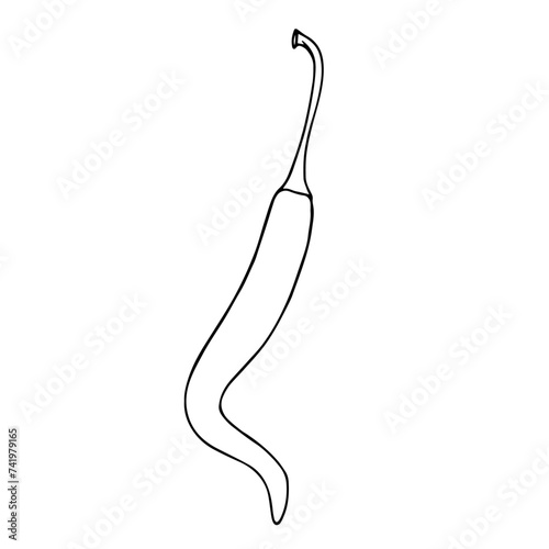 Linear sketch, outline, coloring of a hot chili pepper. Vector graphics.