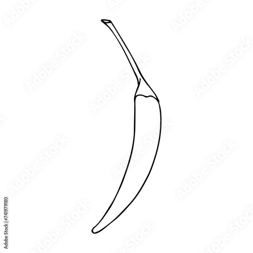 Linear sketch, outline, coloring of a hot chili pepper. Vector graphics.