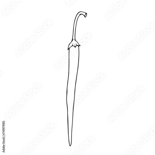 Linear sketch, outline, coloring of a hot chili pepper. Vector graphics.