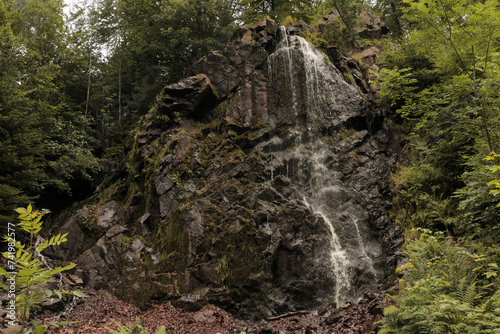 The Radauwasserfall (Radau waterfall) with water falling down the rocks with nature forest foreground and background captured from below.