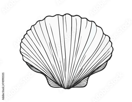 Seashell vector illustration. Abstract boho sketch doodle style. Illustrations for menu, seafood restaurant design, resort hotel spa, surf boards. Wall Art Print, t shirt, phone case 