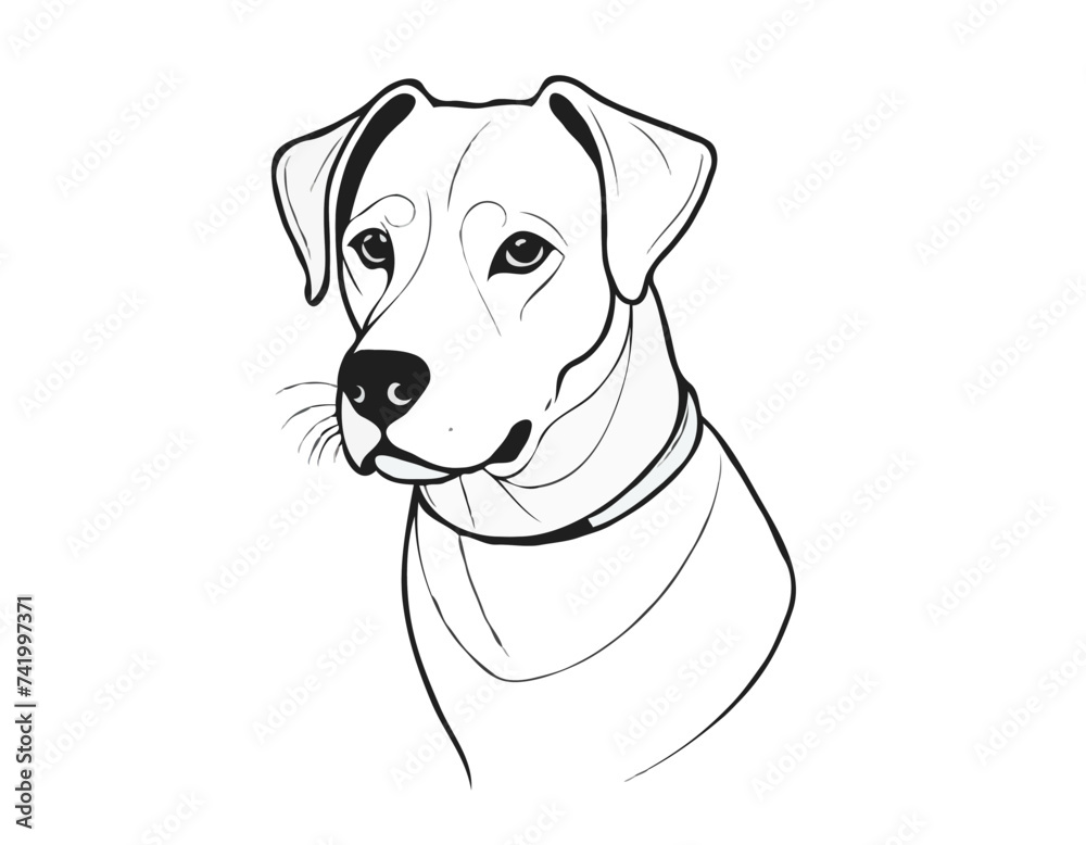Collar dog
Collar dog