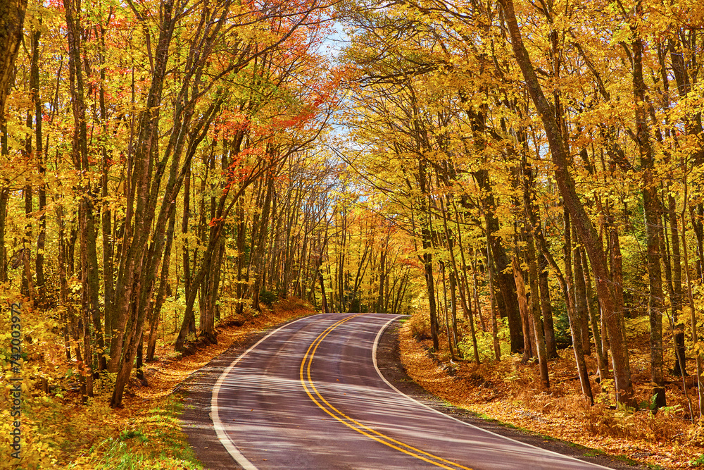 Autumn Forest Road in Keweenaw - Vibrant Fall Foliage Perspective