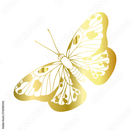Decorative, winged insect of a golden butterfly. Vector graphics. © Екатерина Якубович
