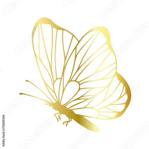 Decorative, winged insect of a golden butterfly. Vector graphics.