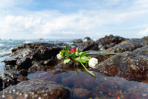 Flowers on top of a beach rock. photo