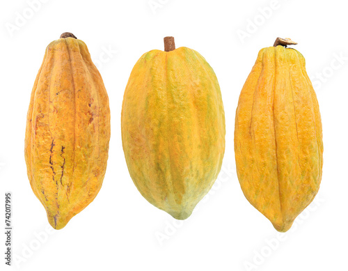 cocoa fruit isolited  on  transparent png