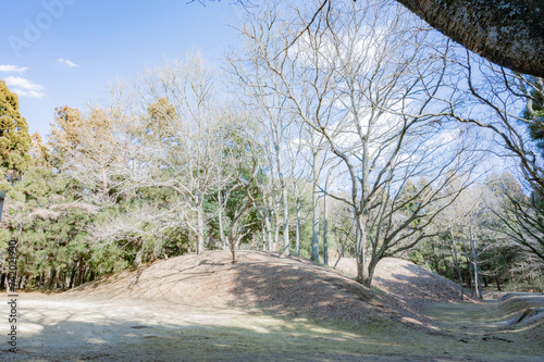 茨城　虎塚古墳（ひたちなか市） photo