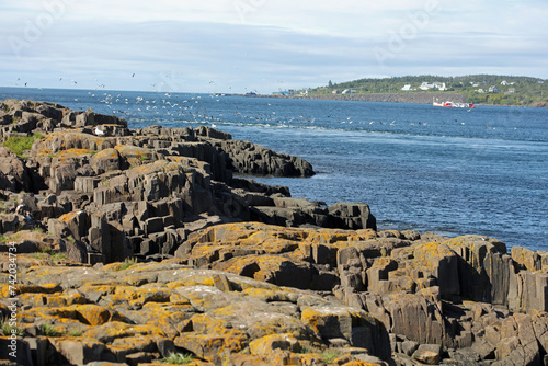 Ocean views from Nova Scotia