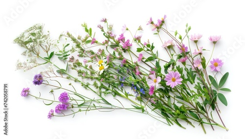 bunch of wild flowers on a white background  in the style of realistic textures  detailed botanic studies  collage elements