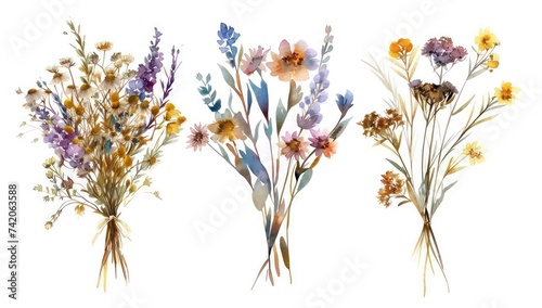 wild flower bouquet collection of wild flower designs in different colors set  in the style of realistic watercolor paintings  light indigo and light amber  recycled  dry