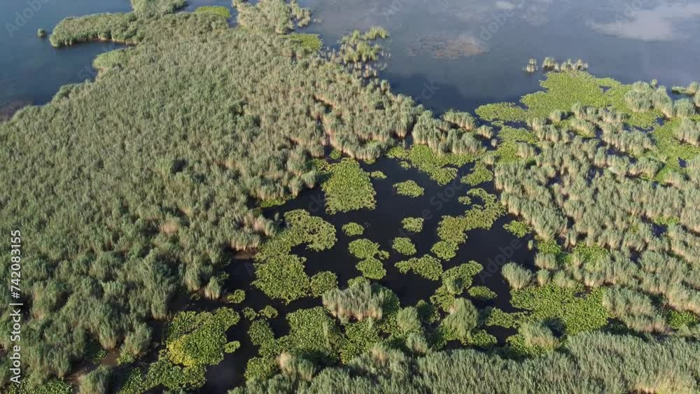 Aerial drone view of lake with reeds. Beautiful landscape. Colorful swampy marsh in spring. Aerial drone view of lake with reeds. Beautiful landscape. Colorful swampy marsh in spring.