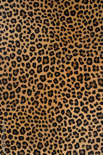 Cheetah Background 