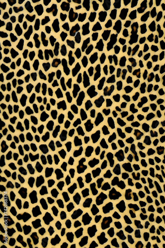 Cheetah Print 