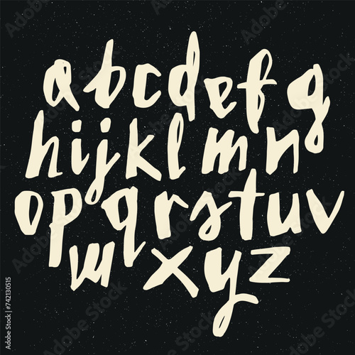 Vector handwritten calligraphic ink alphabet  white on black background. Hand drawn alphabet written with brush pen. Minuscula     small letters.