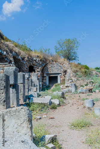Decayed stone columns flank an arched entry, with nature slowly encroaching