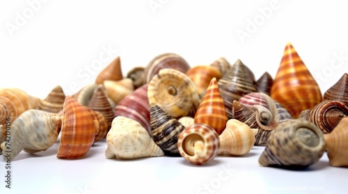close-up stock photo of few separated small sea shell AI generative