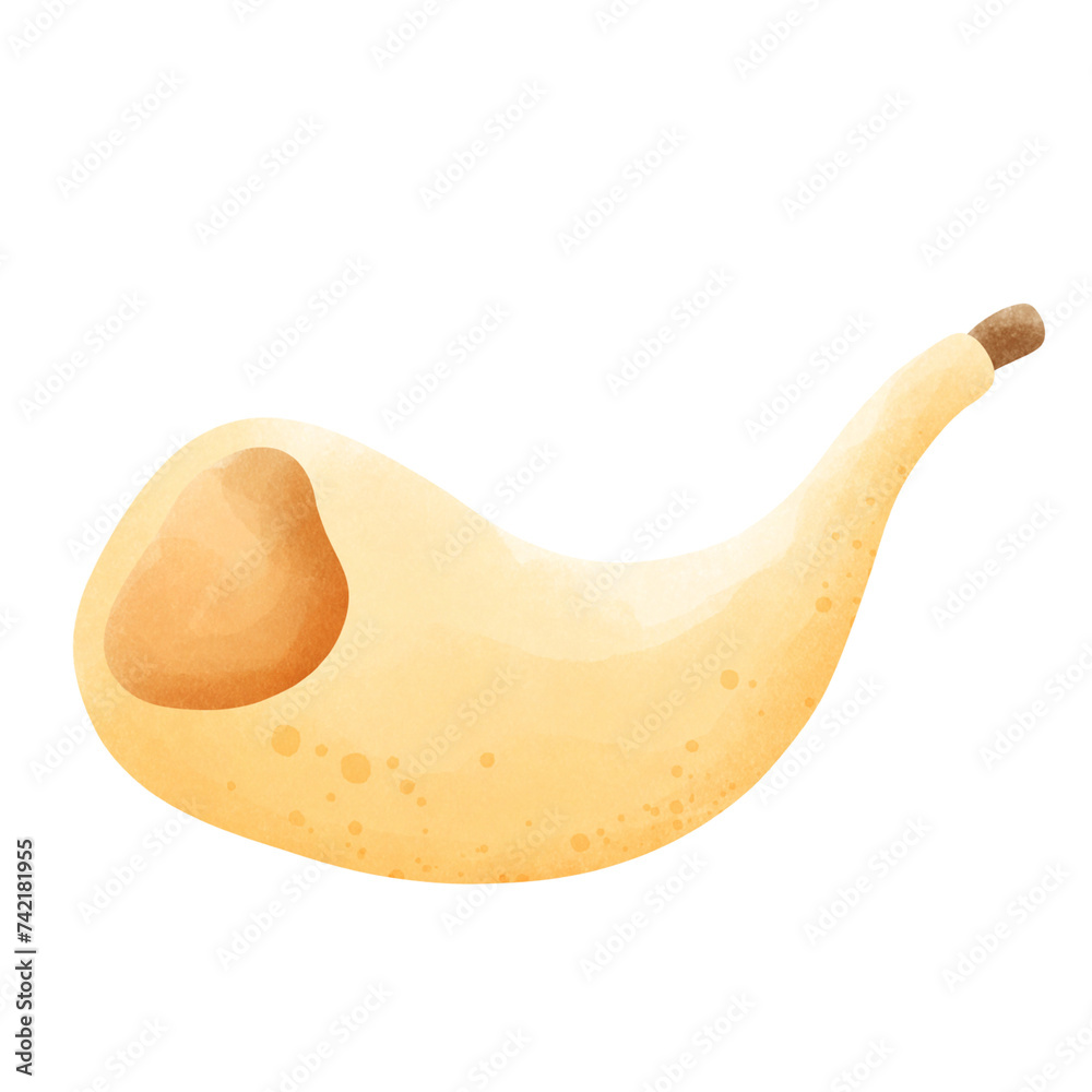 Rosh Hashanah Horn Rosh Hashanah Horn