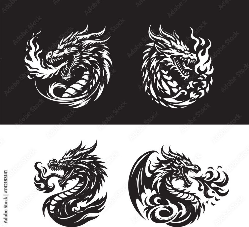 Fototapeta premium dragon tattoo