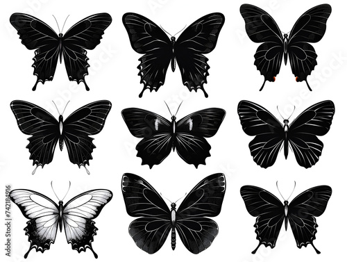 set of butterflies silhouettes on white 