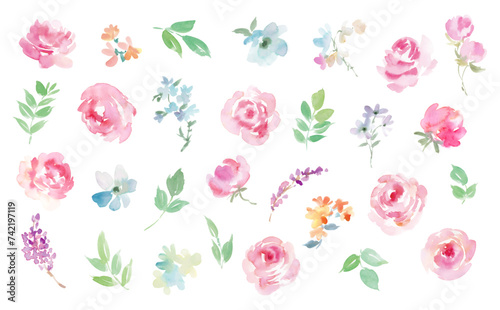 水彩で描いた抽象的なバラと草花のベクターイラスト素材セット	
