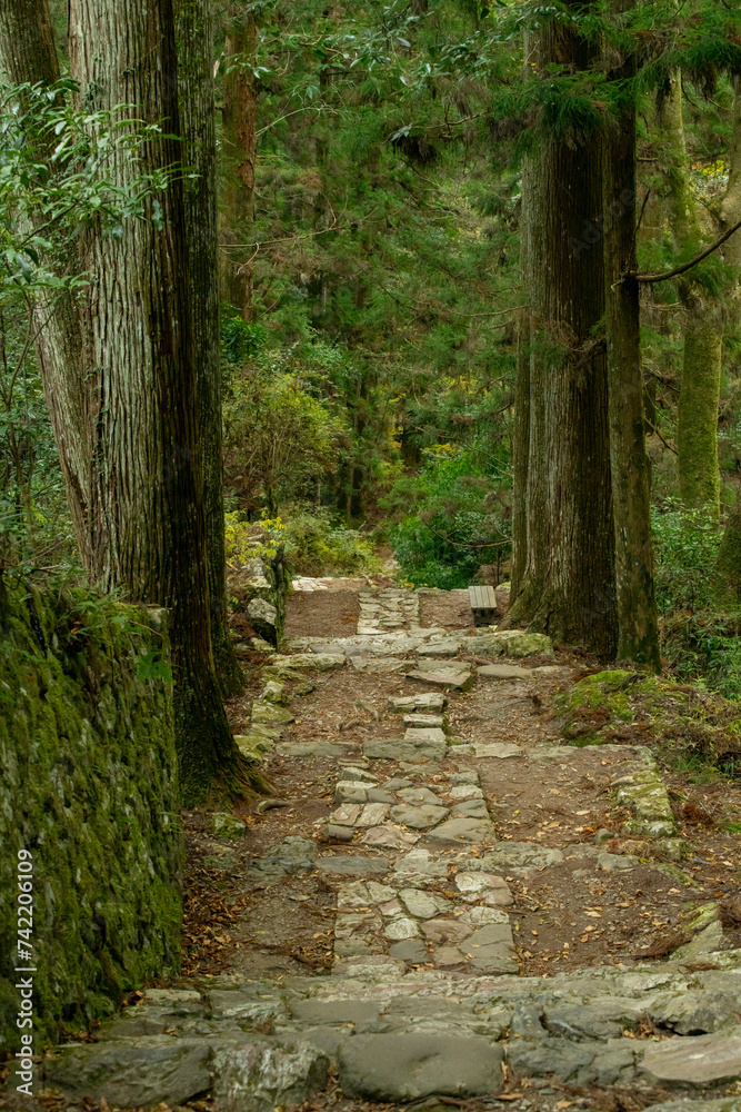 愛知県新城市門谷 秋の鳳来寺山の紅葉 愛知県新城市門谷 秋の鳳来寺山の紅葉