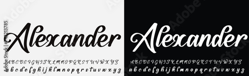 signature Font Calligraphy Logotype Script Brush Font Type Font lettering handwritten