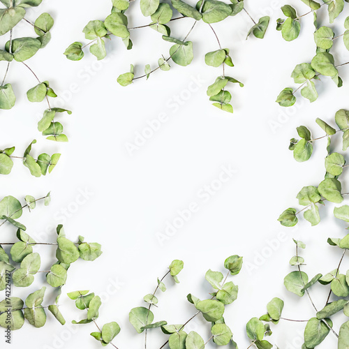 Obraz na płótnie Green leaves frame on a white background. Copy space. w salonie