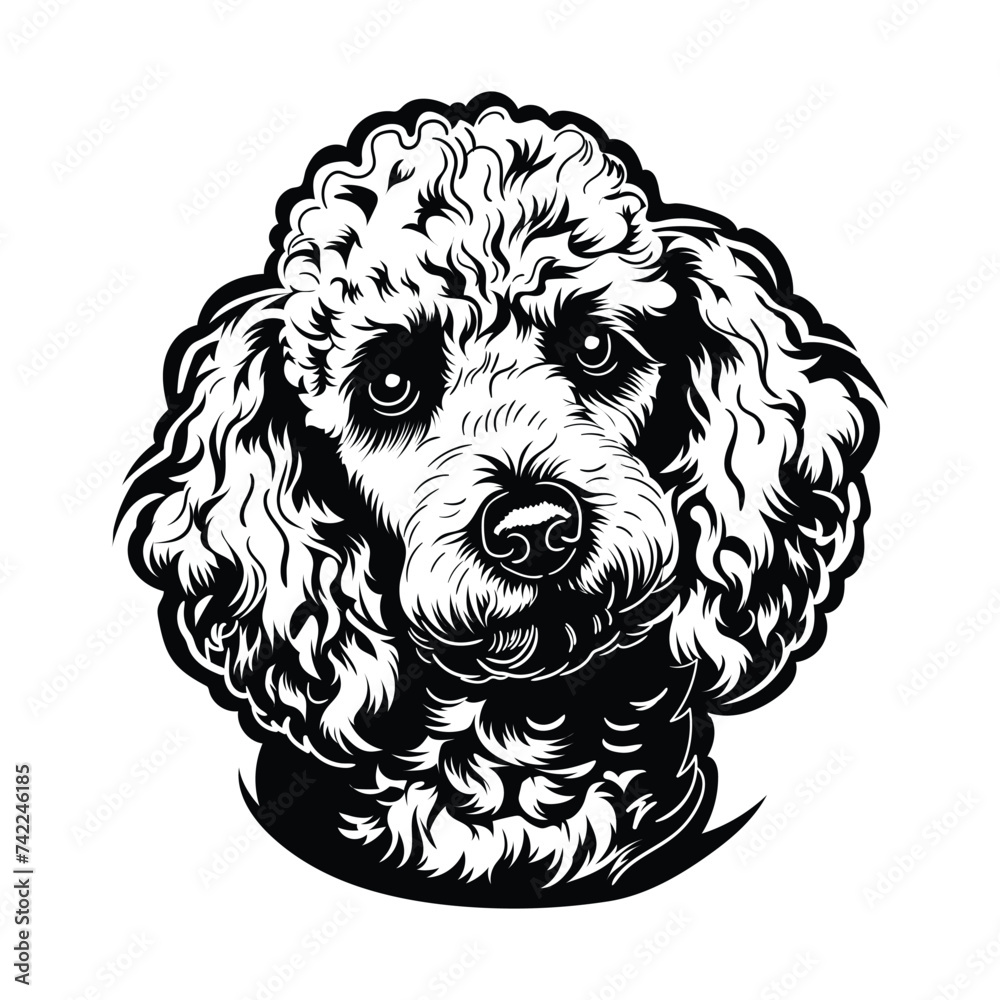 Poodle Dog Black and white Stock Vector Poodle Dog Black and white Stock Vector