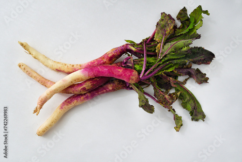 日本の伝統野菜　日の菜（日野菜、ひのな、ヒノナ）白背景　コピースペースあり
Traditional Japanese vegetables, Hinona,white background,copy space available photo
