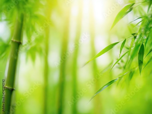 Background light green, yellow, pastel colors, bamboo branches and leaves, sunny diffused light