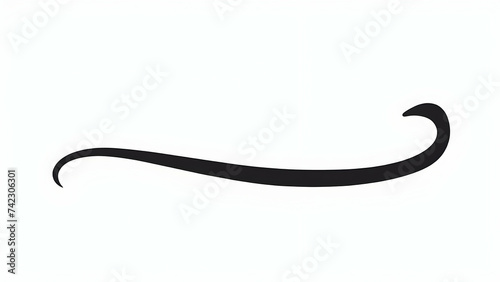 Swoosh and swoops underline typography tail shape. Brush drawn thick curved smear. Hand drawn curly swish, swash, squiggle, twiddle. Vector calligraphy doodle swirl. Vector Underlined icon,nlack.