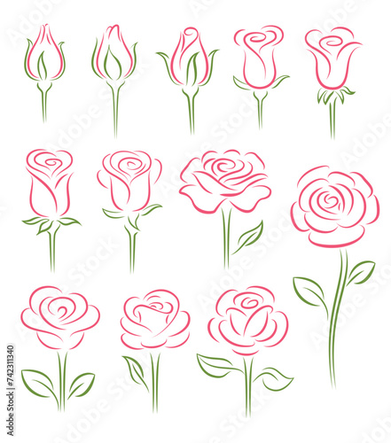 Set of rose flower design elements, elegant minimalistic style. Rosebuds in different stages of opening.