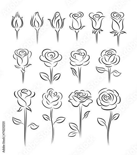 Set of rose flower design elements, elegant minimalistic style. Rosebuds in different stages of opening.
