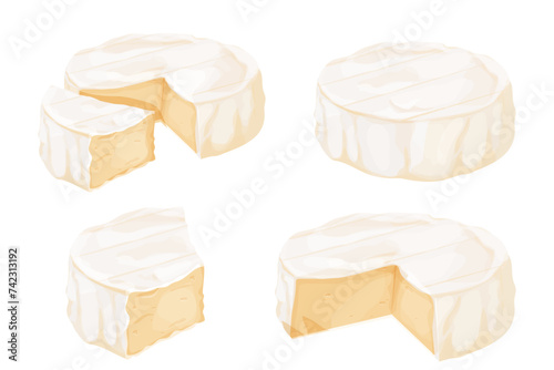 Set Camembert cheese, brie french soft creamy food isolated on white background. 