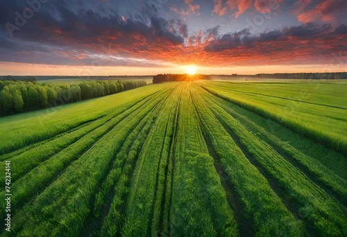 Gorgeous Sunrise Over The Green Field In Lithuania. Generative AI