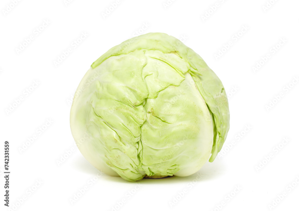 head of fresh green cabbage on a white background head of fresh green cabbage on a white background