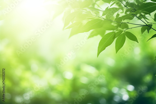 Bright and Refreshing Close-Up Shots of Green Leaves with Blurred Background