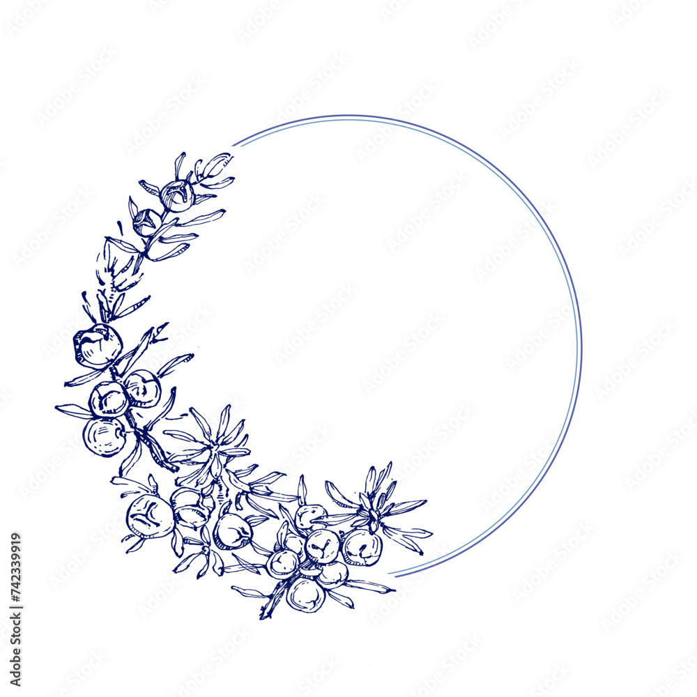 Juniper branch seamless pattern. Floral Bohemian Tile. Vector floral background. Herbal plants. Juniper branch seamless pattern. Floral Bohemian Tile. Vector floral background. Herbal plants.