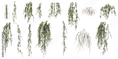 Fotografie set of broom creeper, broom creeper isolate