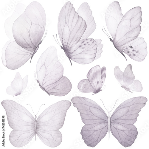 Butterfly collection. Watercolor illustration. Colorful Butterflies clipart set. Gray violet butterfly. Baby shower design elements. Party invitation, birthday celebration. Spring or summer decoration