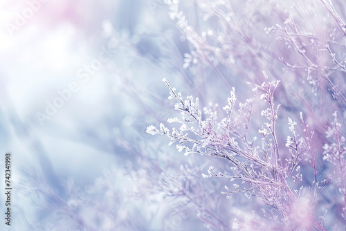 Elegant Winter Abstract Background  Delicate Pastel Shades Evoking a Winter Holiday Mood  Ease  and Joy. Featuring Very Blurry Textures for an Interesting and Intriguing Abstract Effect.