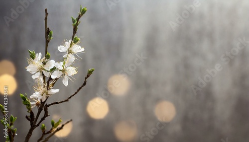 spring flowers in the forest, floral background 